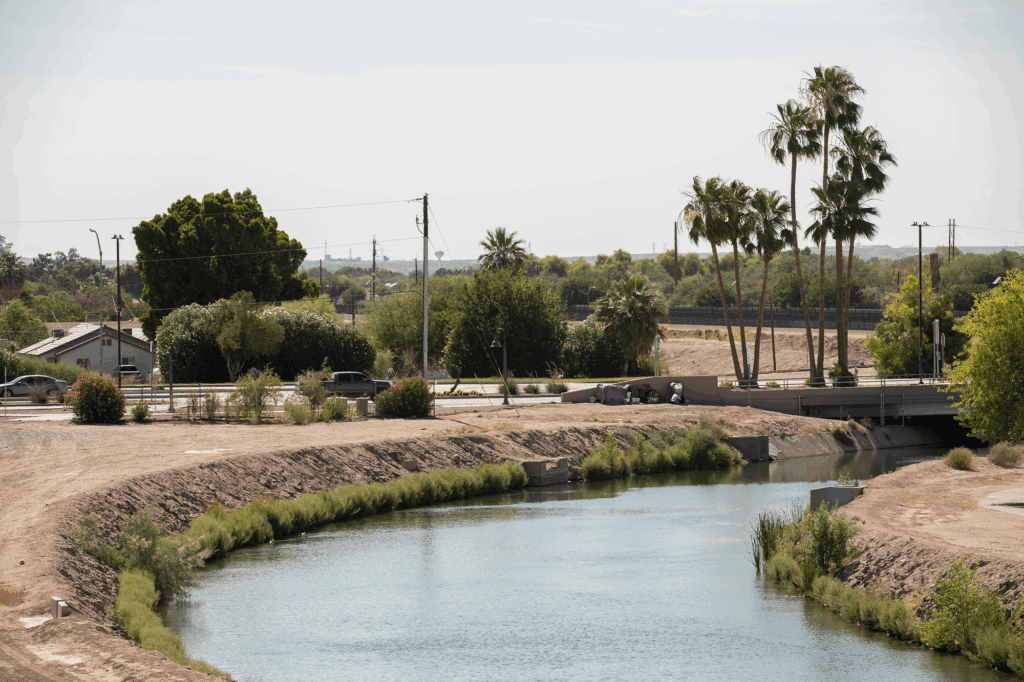 River with palm trees and surrounding greenery.