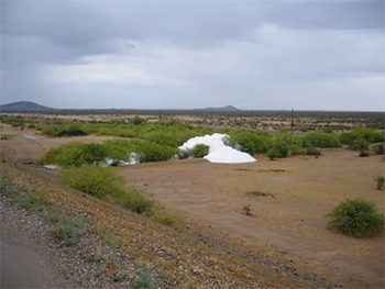 img_2 img_2