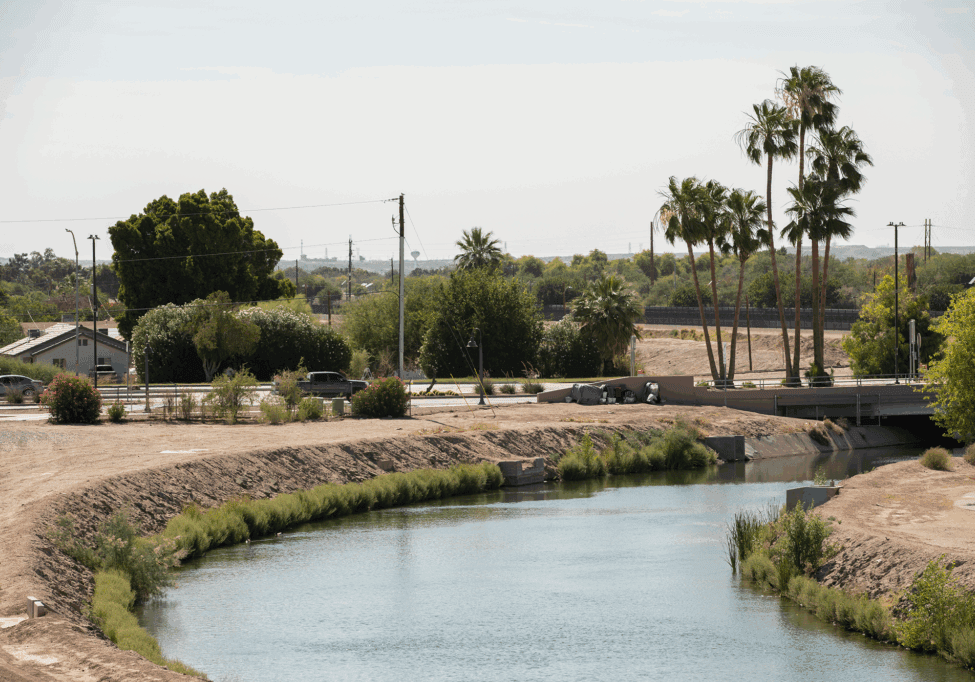 River with palm trees and surrounding greenery.